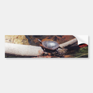 Lycklig Turtle Bildekal