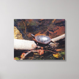Lycklig Turtle Canvastryck