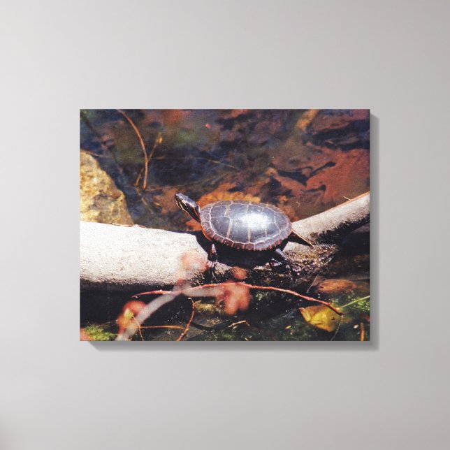 Lycklig Turtle Canvastryck (Framsida)