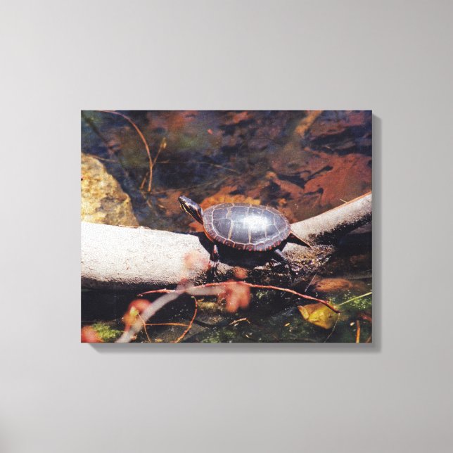 Lycklig Turtle Canvastryck (Framsida)