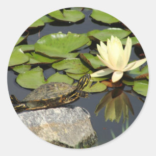 Lycklig Turtle i en Lily Pond Runt Klistermärke
