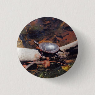 Lycklig Turtle Knapp