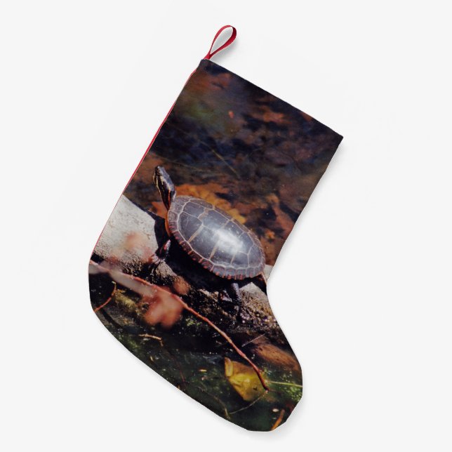 Lycklig Turtle Liten Julstrumpa (Framsidan (Hängande))