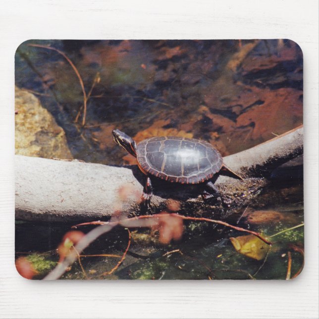 Lycklig Turtle Musmatta (Framsidan)
