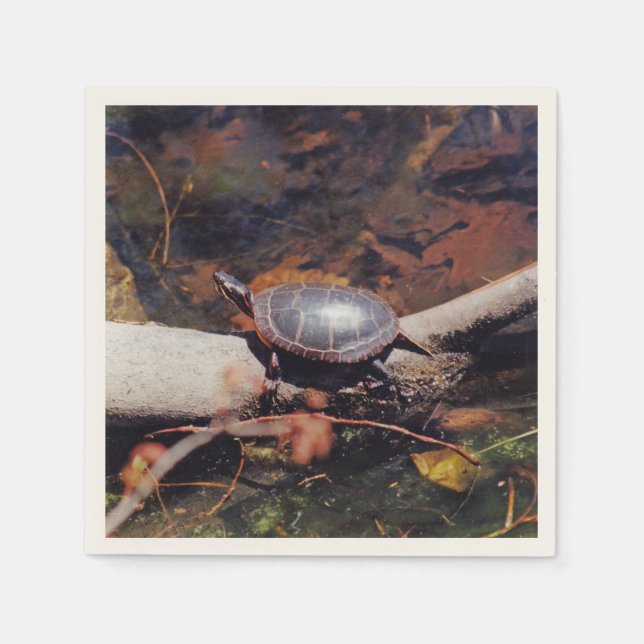 Lycklig Turtle Pappersservett (Framsidan)