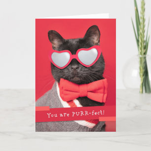 Lycklig Valeneitnes dag Cute Cat in Heart Glasses Helgkort