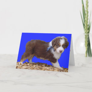 Lycklig valentin dagAussie Helgkort