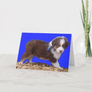 Lycklig valentin dagAussie Helgkort