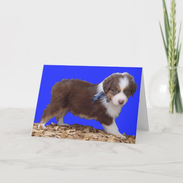 Lycklig valentin dagAussie Helgkort (Framsida)