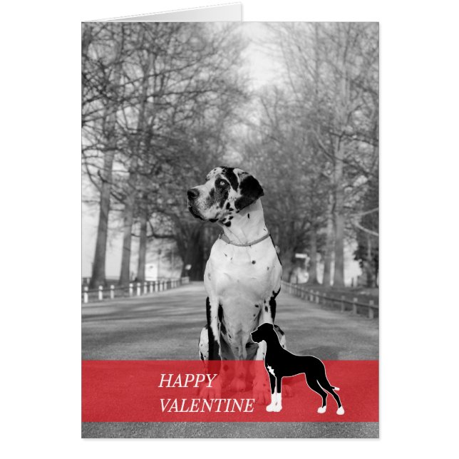 Lycklig Valentine Hälsningskort (Framsidan)