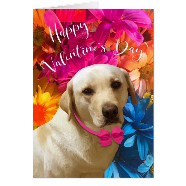 Lycklig Valentine Pet, Hund, Cute Labrador Flowers Hälsningskort (Framsidan)