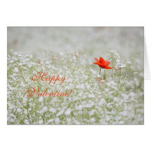 Lycklig Valentine Red Poppy White Flowers Meadow