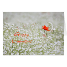 Lycklig Valentine Red Poppy White Flowers Meadow Hälsningskort