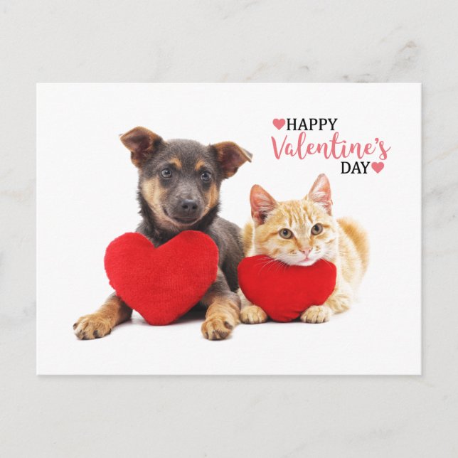 Lycklig Valentines Hund och katt Helg Vykort (Framsida)