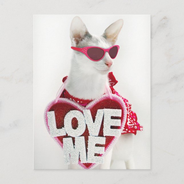 Lycklig Valentines vykort av Skeezix Katt (Framsida)