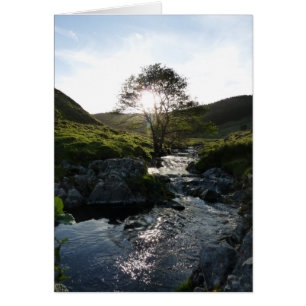 Lycklig Valley Northumberland, England Hälsningskort