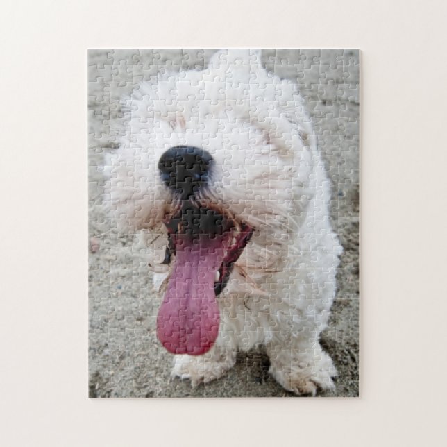Lycklig valpvithund som är malteese, maltipoo. pussel (Vertikal)