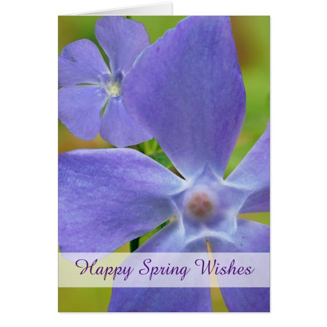 Lycklig Vår Blommar Vinca Lila Blooms Hälsningskort (Framsidan)
