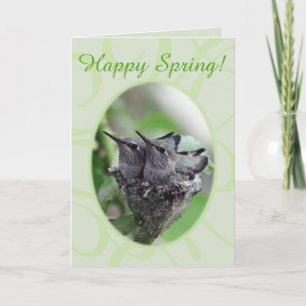 Lycklig Vår Hummingbird in Nest Photo Helgkort