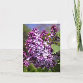 Lycklig Vår Tack Kort