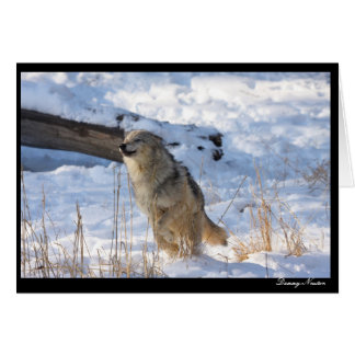 Lycklig Varg Hälsningskort