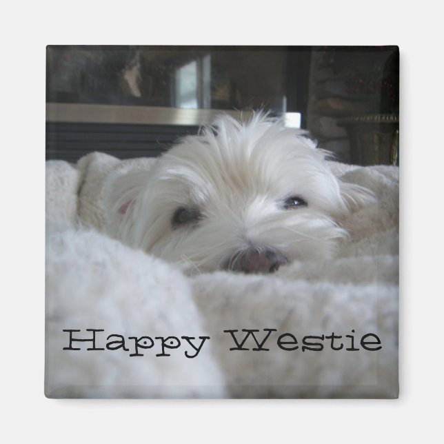 Lycklig Westie Photo Magnet (Framsidan)