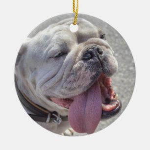 Lycklig White Bulldog Julgransprydnad Keramik