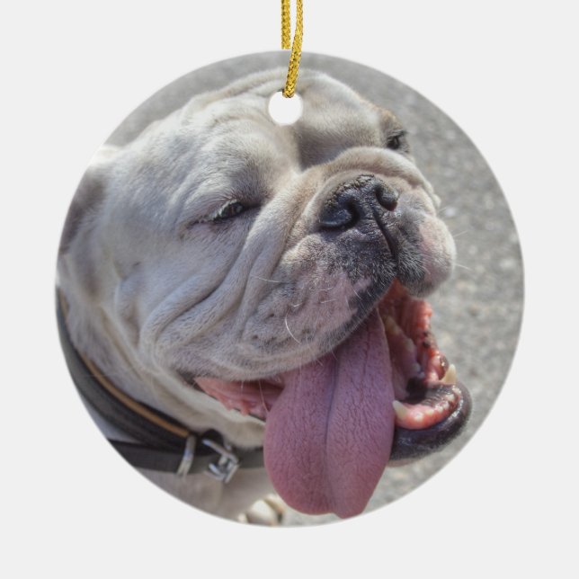 Lycklig White Bulldog Julgransprydnad Keramik (Framsidan)