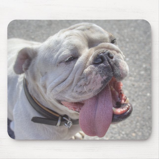 Lycklig White Bulldog Musmatta (Framsidan)