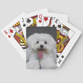 Lycklig White Maltese Puppy Hund Casinokort