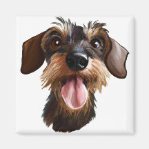 Lycklig Wirehved Dachshund
