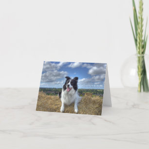 Lycklig WoofDay! FOLKKORT Kort