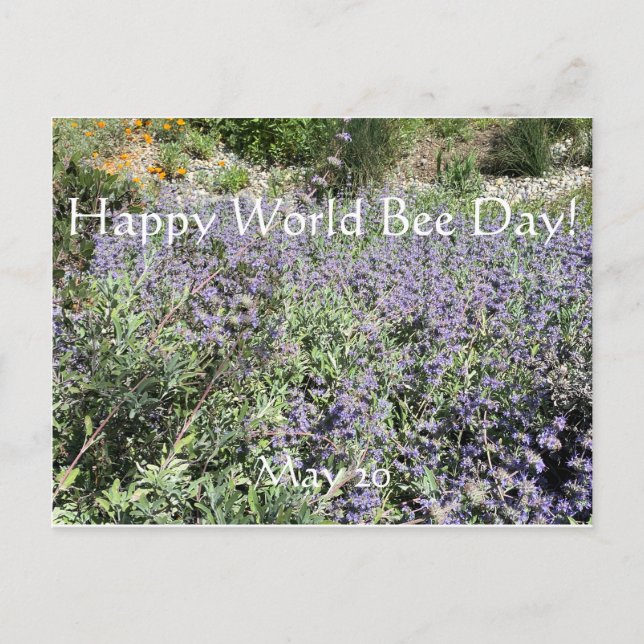 Lycklig World Bee Day!Postcard-vykort Vykort (Framsida)
