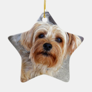 Lycklig Yorkie valp Julgransprydnad Keramik