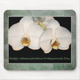 Lyckliga administrativa professionellvitOrchids Musmatta