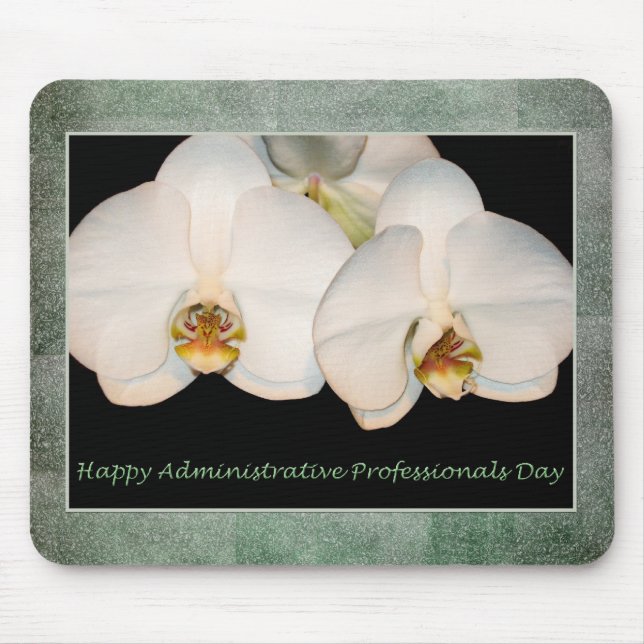 Lyckliga administrativa professionellvitOrchids Musmatta (Framsidan)