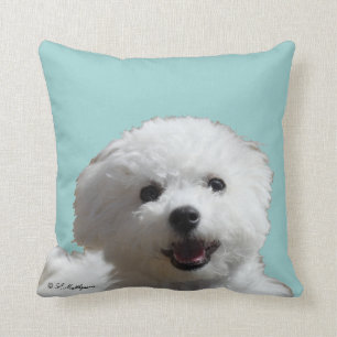 Lyckliga Bichon kudder Kudde