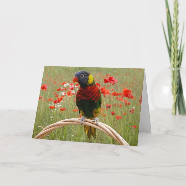 Lyckliga Birdday! Kort (Framsida)