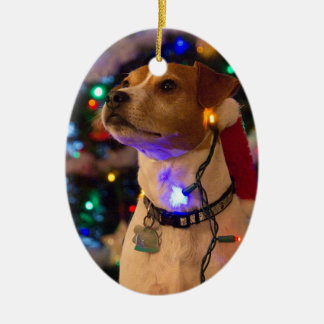 Lyckliga Howlidays! Julgransprydnad Keramik