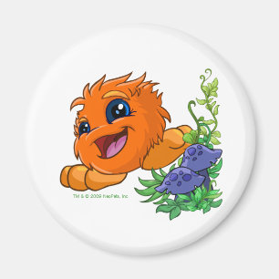 Lyckliga orange JubJub i den Neopia centralen Magnet
