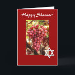 Lyckliga Shavuot-Röda druvor/davidsstjärna Helgkort<br><div class="desc">Detta nätt röda kort presenterar härliga röda druvor och en davidsstjärna som firar den judiska helgdag av Shavuot!  Insida kan personifieras till något att säga vad du önskar. Image är det offentliga området med tillåtelse från http://www.public-domain-image.com/</div>