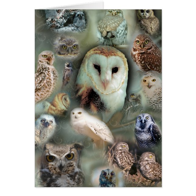 Lyckliga ugglor hälsningskort (Framsidan)