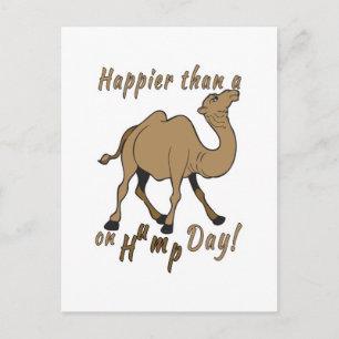 Lyckligare än en Camel på Hump Day Vykort