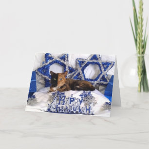 Lyckligt Chanukah för Venus två ansiktekatt kort