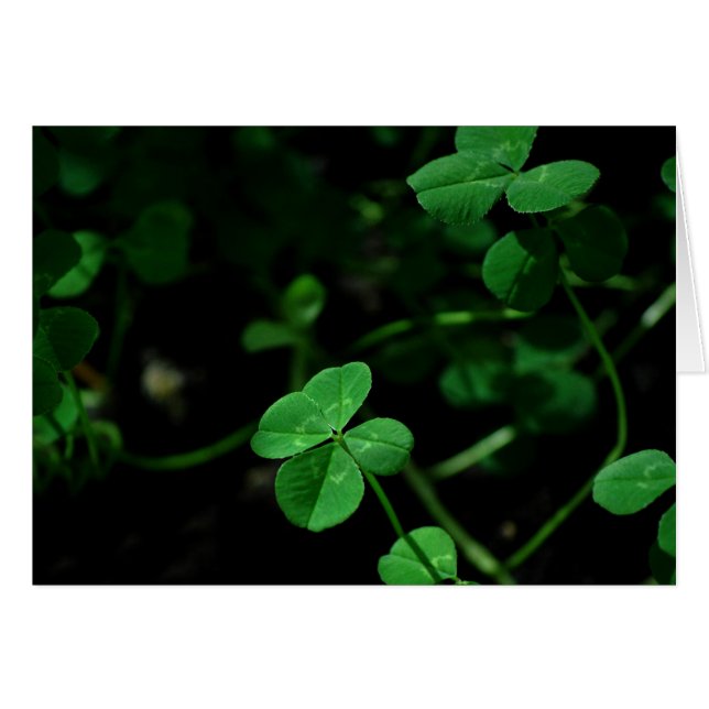 Lyckligt Hälsningskort (Framsidan Horizontal)