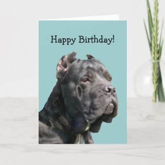 Lyckligt kort för Bithday käppCorso hälsning