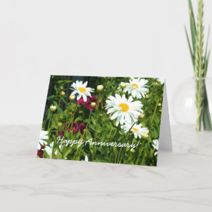 Lyckligt kort för hälsning för årsdagShasta daisy
