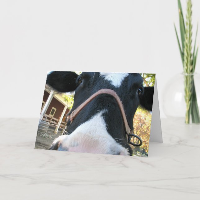 Lyckligt muår helgkort (Framsida)