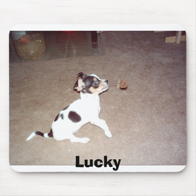 Lyckligt Musmatta (Framsidan)