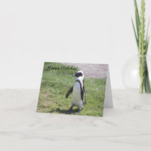 Lyckligt pingvinfödelsedagkort! kort